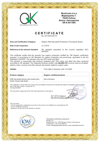 Certificate Mushroom   2011005-024-19 signed